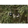 Krmítko pro ptáky Ornament Acorn