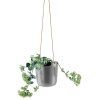 568161 Selfwatering pot Nordic grey vinkel med plante HIGH