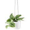 568164 Selfwatering pot Chalk white vinkel med plante HIGH