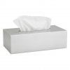 Box na papírové kapesníky NEXIO matný nerez BLOMUS